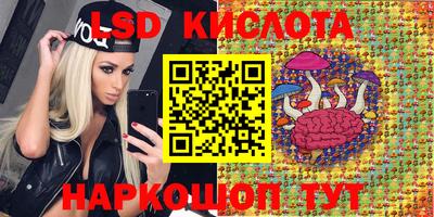 гидра Кандалакша