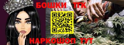 индика Ирбит
