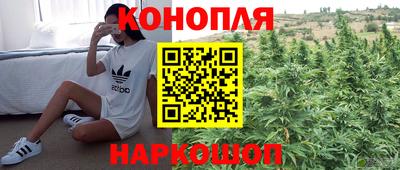 соль ск Ипатово