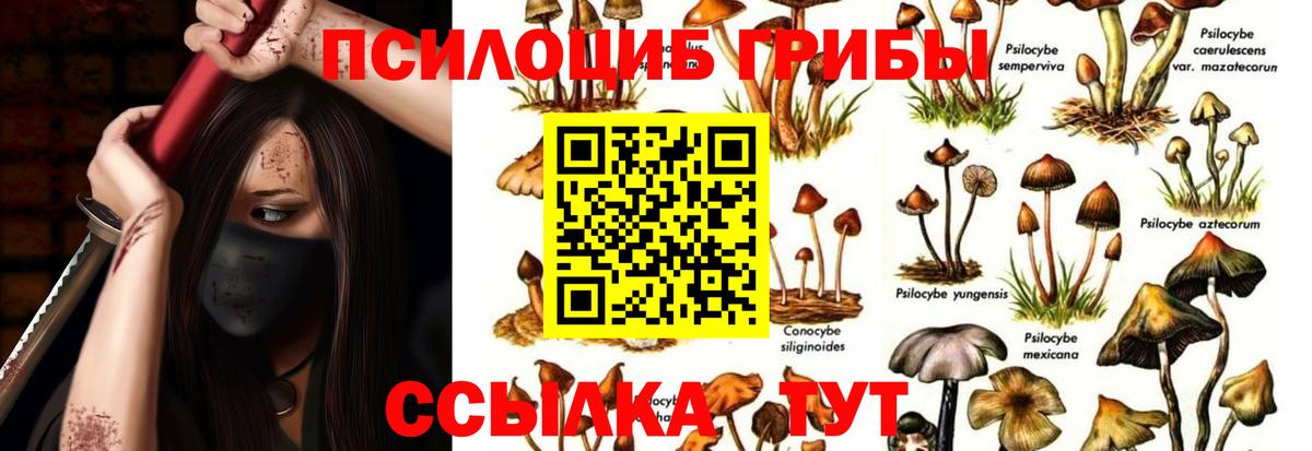 Ленинск-Кузнецкий  Галлюциногенные грибы Cubensis  купить наркоту  Вход с VPN  Псилоцибиновые грибы мицелий 