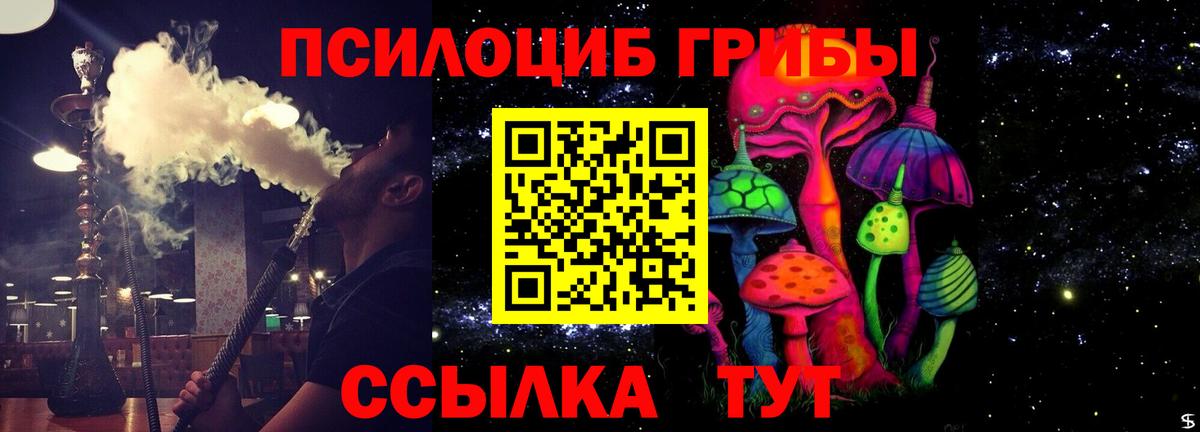 Псилоцибиновые грибы прущие грибы Ленинск-Кузнецкий